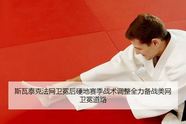 si-wa-tai-ke-fa-wang-wei-mian-hou-ying-di-sai-ji-zhan-shu-tiao-zheng-quan-li-bei-zhan-mei-wang-wei-mian-dao-lu-2-306.jpg